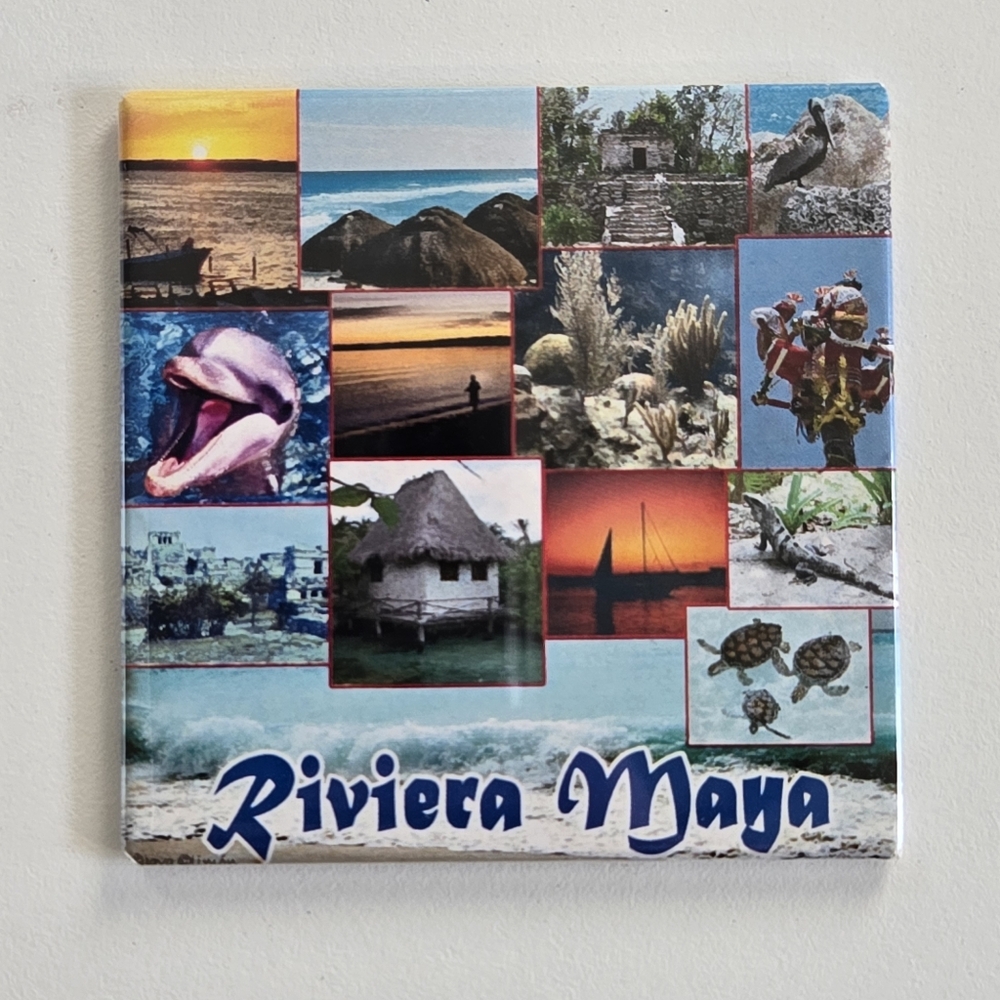 Riviera Maya Mexico Souvenir Magnet Dolphin Sea Turtle Caribbean Ocean